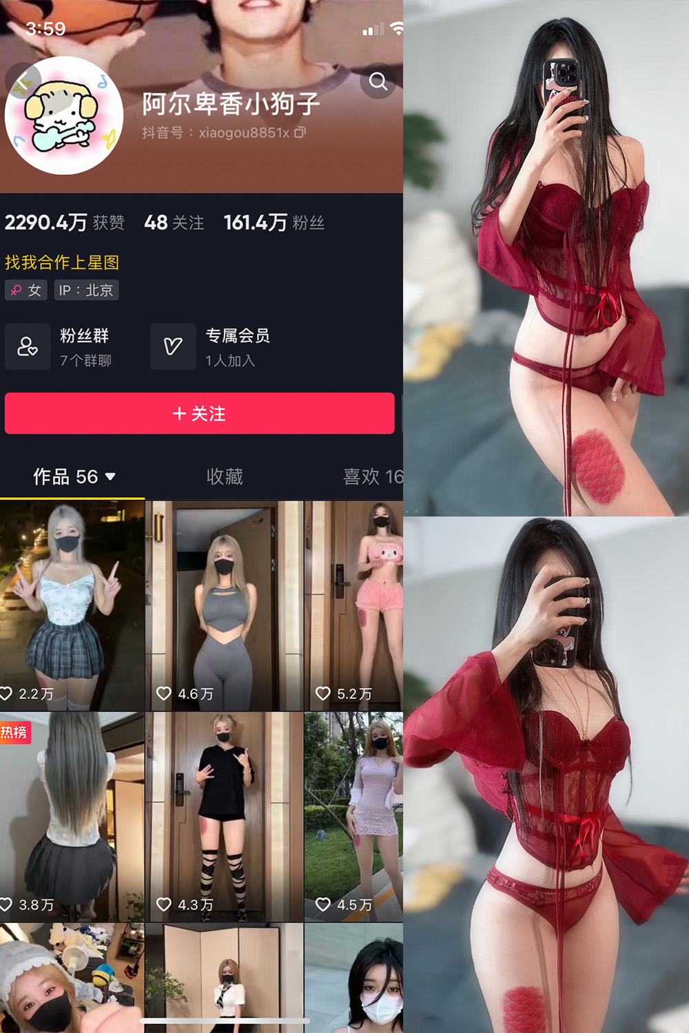 抖音 阿尔卑香小狗子 微密圈  NO.056期 【10P2V】最新至：2025/7/19-微密空间